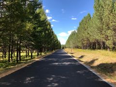 -塞罕坝国家级自然保护区