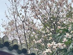 -望江楼公园