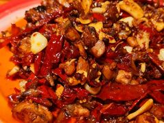 -柴窝堡22号辣子鸡·传承新疆菜