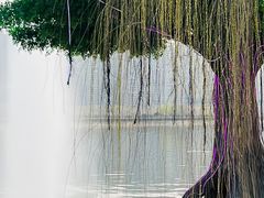 -咸阳湖景区