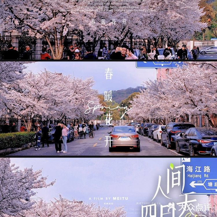 2024年值得一去的地方们👍