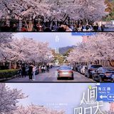 2024年值得一去的地方们👍
