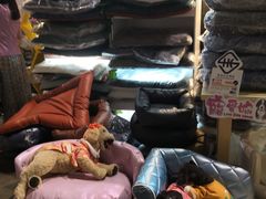 -香港会议展览中心演讲厅