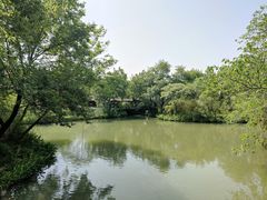 -西溪国家湿地公园