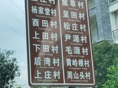 -杨家堂村