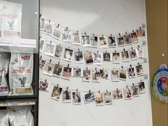 -瑞派康怡24h宠物医院·犬猫医疗中心·微创绝育(瑞景分院)