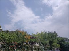 -三圣花乡旅游区