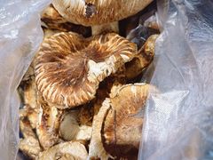 -菌之家·专业纯野生菌火锅·特色炒菌