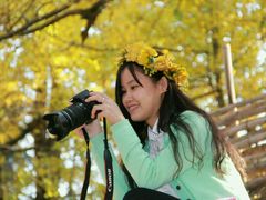 -南雄冯屋银杏山庄