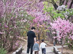 -银树楼(紫玉山庄东区店)