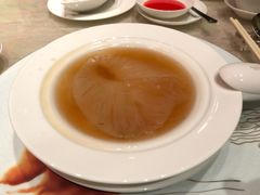 红烧大鲍翅-8餐厅(新葡京酒店)