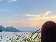 -东湖落雁景区
