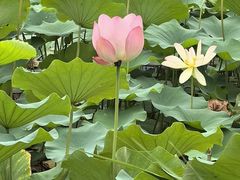 -木塔寺遗址生态公园