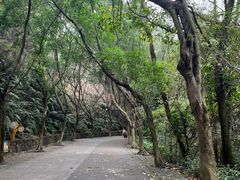 -滴水岩森林公园