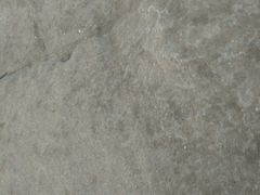 -天津包子铺·海鲜家常菜(北戴河店)