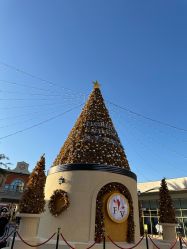 -奇幻丛林(佛罗伦萨小镇店)