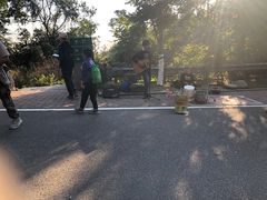 -火炉山森林公园