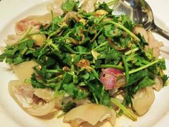 凉拌猪蹄-北海渔村酒楼·粤菜海鲜点心(新华店)