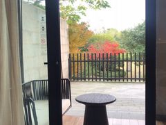 -上海崇明金茂凯悦酒店