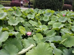 -四川大学(华西校区)