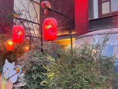 -唐猫庭院·千年陕菜(大唐不夜城店)