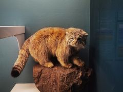 -国家自然博物馆