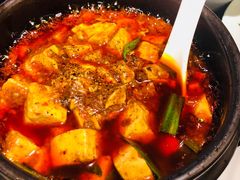 -陈麻婆豆腐总店