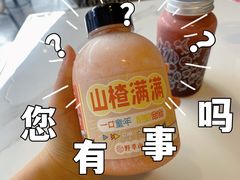 -野萃山·潮汕厚果汁(十亩地店)