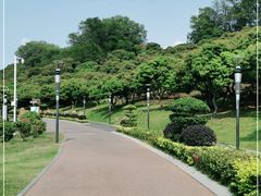 -立新湖公园