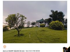 -王借岗森林公园