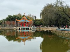 -金砂公园