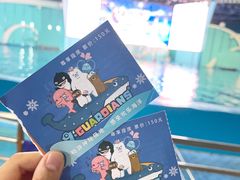 -海合安青岛极地海洋公园