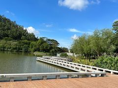 -顺峰山公园