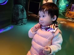 -沈阳海洋探索中心