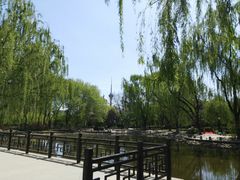 -玲珑塔公园