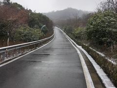 -树山生态村