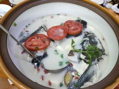-全乐鱼馆·淳牌有机鱼直营店