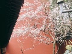-钱王祠