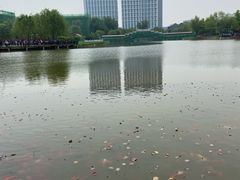 -西海子公园