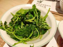 -老乡鸡(上海白玉兰广场店)