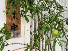 -茶庐(百花洲路店)
