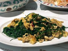 -新疆兵团食府清真(马连道店)
