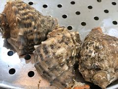 -四海鲜渔家菜(黄金海岸店)