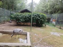 -青藏高原野生动物园