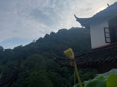-青城山