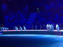 -珠海横琴长隆《卡卡虎奇遇记》