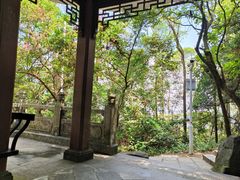 -水濂山森林公园