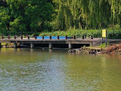 -西山漾湿地公园