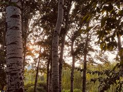 -元大都城垣遗址公园