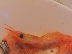-半岛听涛蒸汽海鲜自助(K11店)